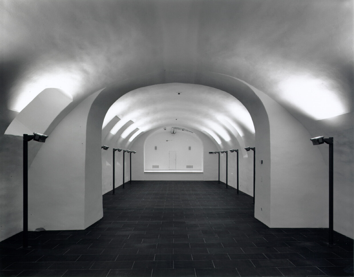 102 PH gewoelbekeller 02 Kopie