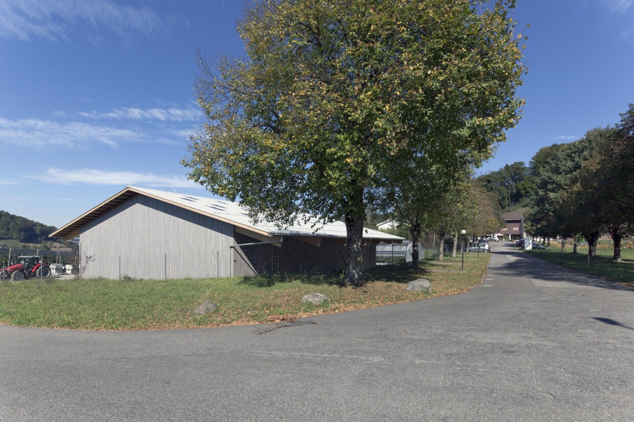 651 02 Mehrzweckhalle Liebegg 04