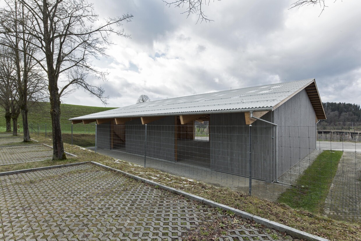 651 04 Mehrzweckhalle Liebegg 08