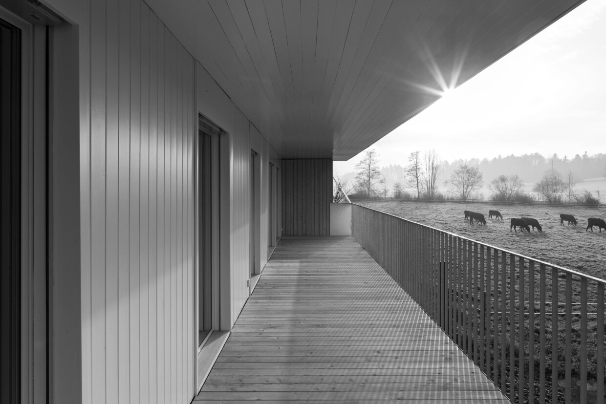 Umbau Niederrohrdorf 03 sw